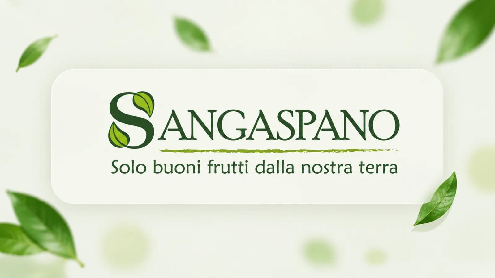 Sangaspano – Premium Fashion E-commerce Platform
